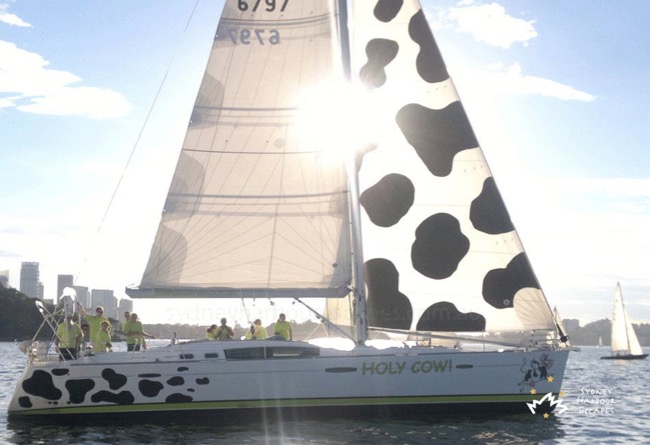 HOLY COW! 50' Beneteau Yacht New Year's Eve Boat Hire