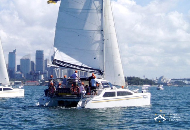 Corporate Sailing & Regattas