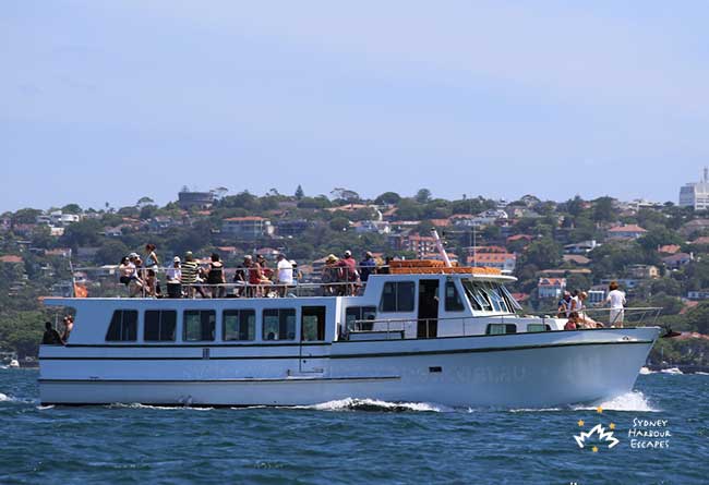 GALENE 60' Motor Yacht Boat Transfer