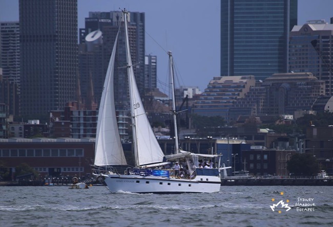 Sydney Sundancer Sailing on Harbour 
