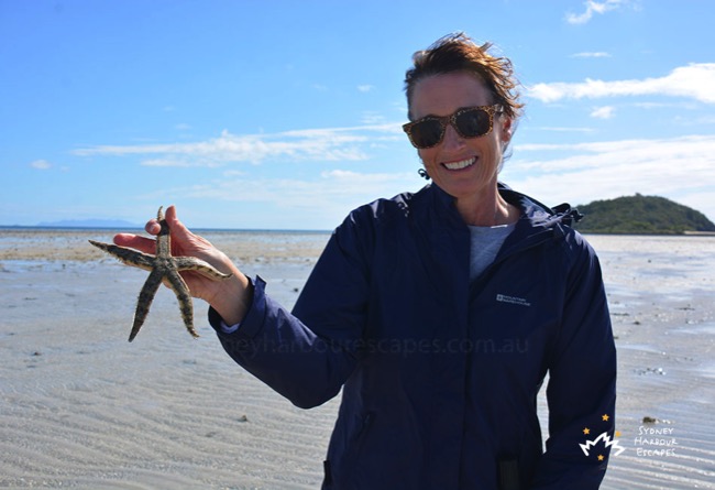 Sydney Sundancer Catching Starfish Whitsundays 