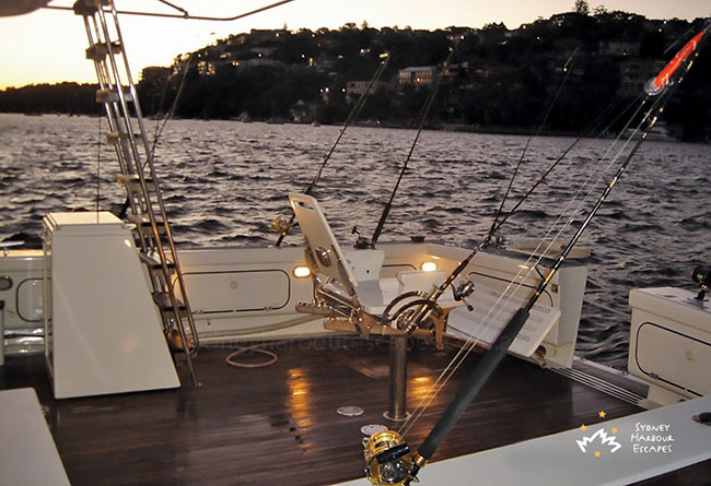 Offshore Fishing Tours Sydney Image 2