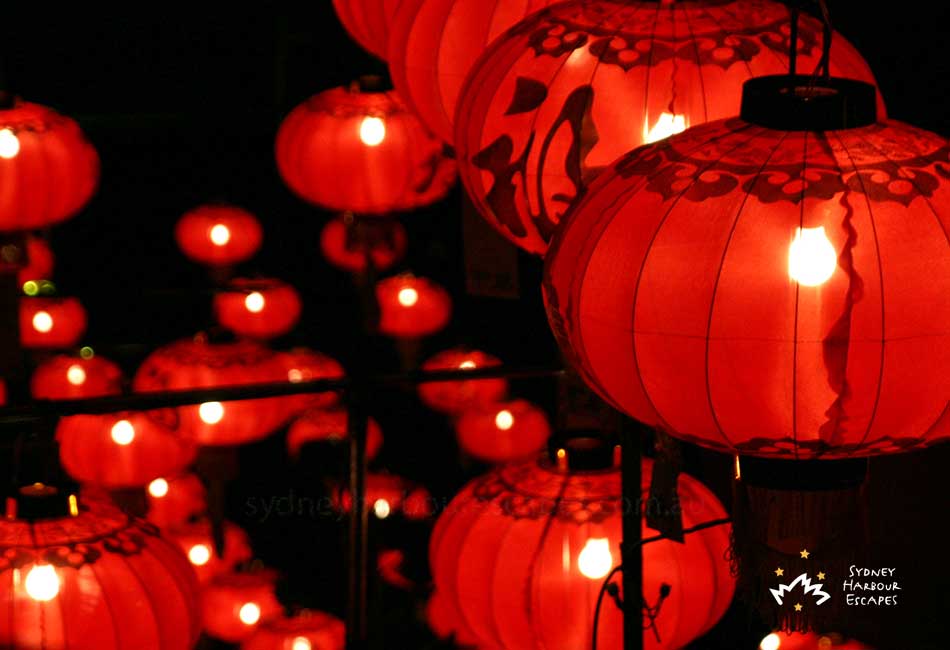 Chinese New Year Lantern