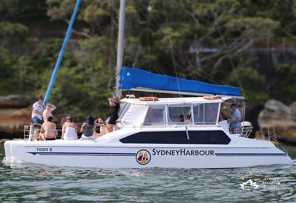 Tiger 2 Boat Hire - Corporate Event Cruises - Sydney Harbour