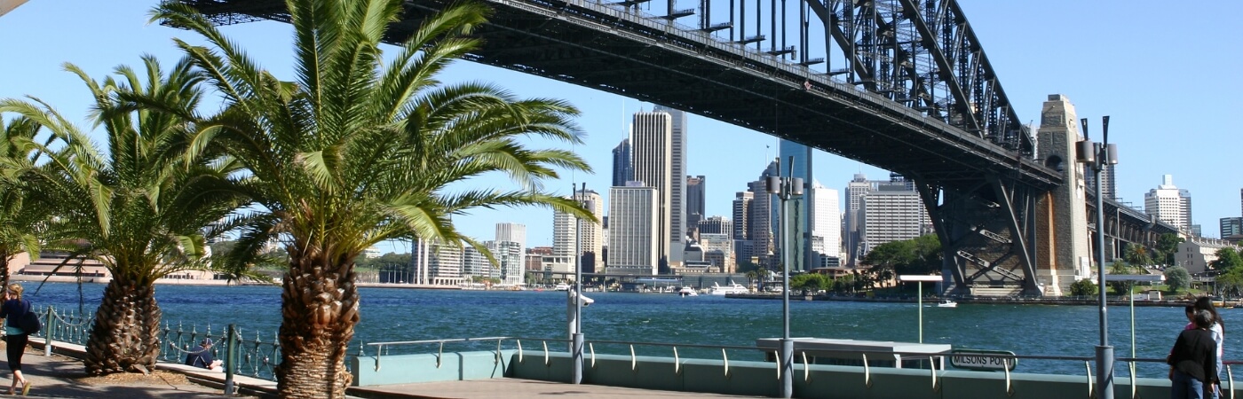 Are There Dolphins in Sydney Harbour blog cover image with the famous bridge spot in sydney 