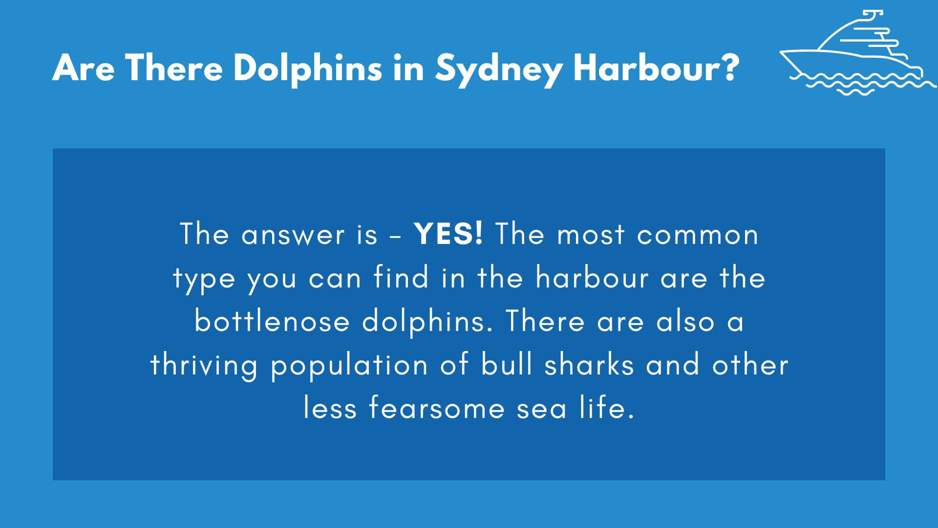 Are There Dolphins in Sydney Harbour Infographic from Sydney Harbour Escapes blog