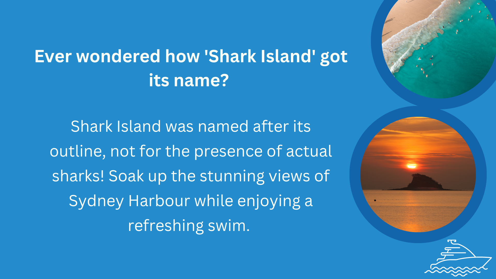 Shark island Sydney info