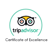 Trip Advisor