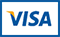 We Accept Visa Card