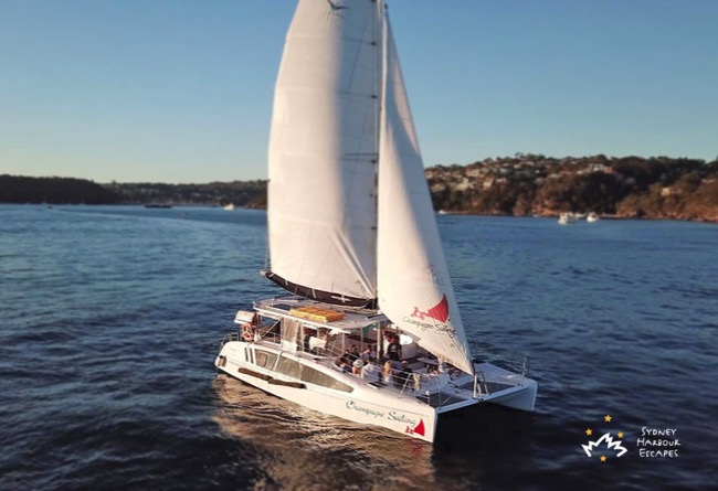 Champagne Sailing on Harbour