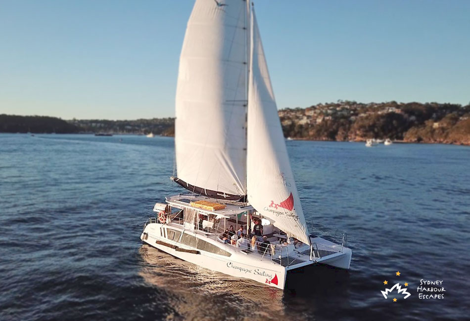 Champagne Sailing on Harbour