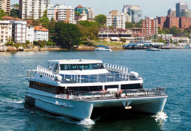 HARBOUR SPIRIT 85' Wavemaster Catamaran New Year's Eve Charter