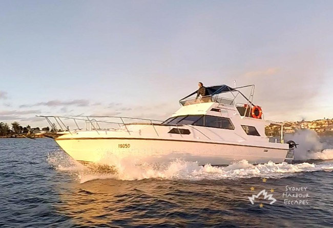 MAYFAIR 43' Cruiser New Year's Eve Charter