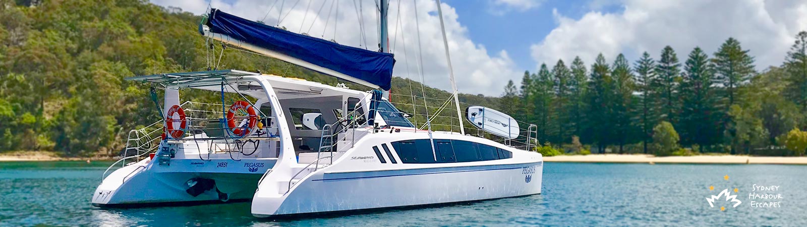 Pegasus Anchored on Sydney Harbour