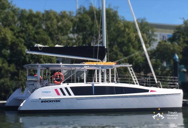 ROCKFISH 3 38' Seawind Catamaran New Years Eve Charter