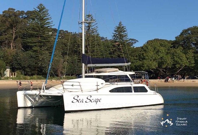 SEASCAPE Seawind 1000 Catamaran New Year's Day Charter