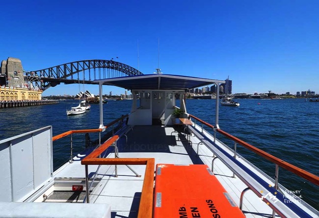 The Kraken Facing Harbour Bridge 