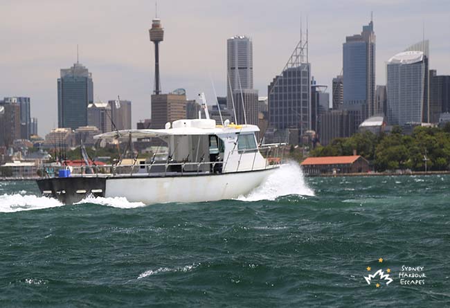 A Team Gallery 5 Power Boat 