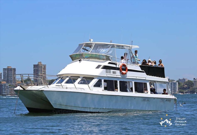 ALI B 40' Power Catamaran Private Charter