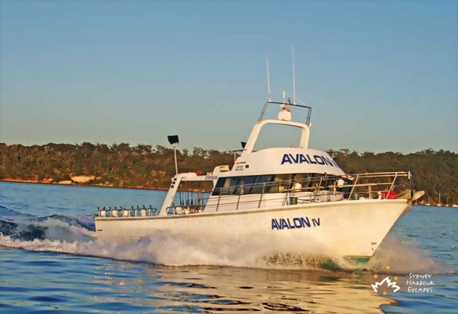 Avalon on Harbour