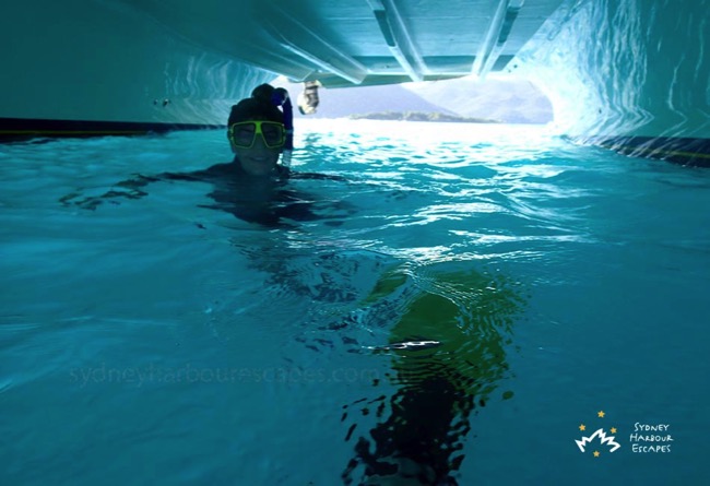 Snorkelling in Whitsundays 