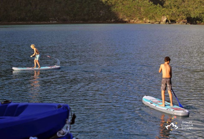 Whitsundays Paddle Boarding 3 