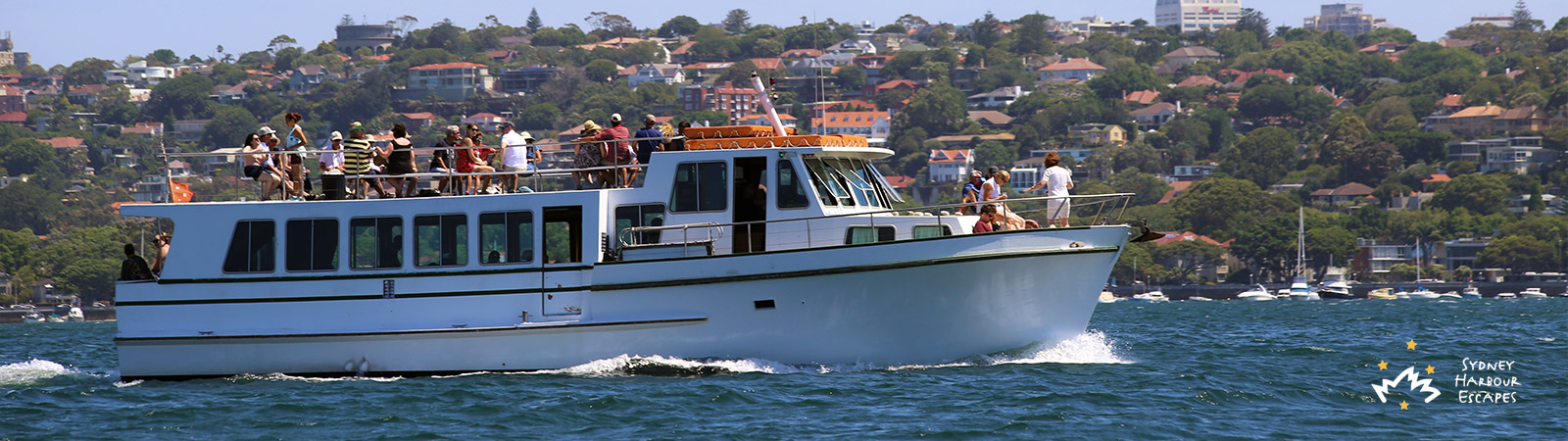 Boat on the water