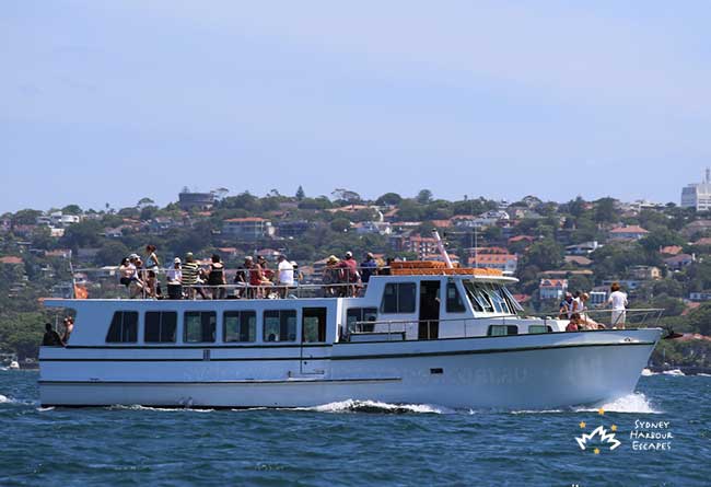 GALENE 60' Motor Yacht Corporate Charter