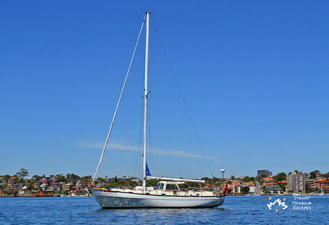 Katrina Sail on Harbour