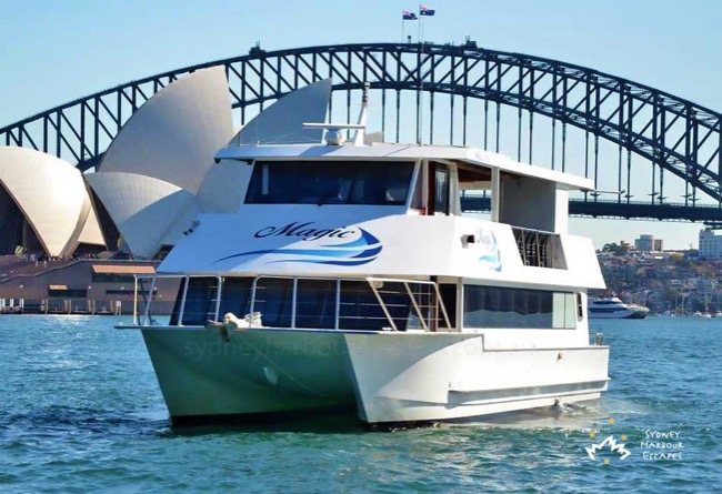 MAGIC 66' Catamaran Private Charter