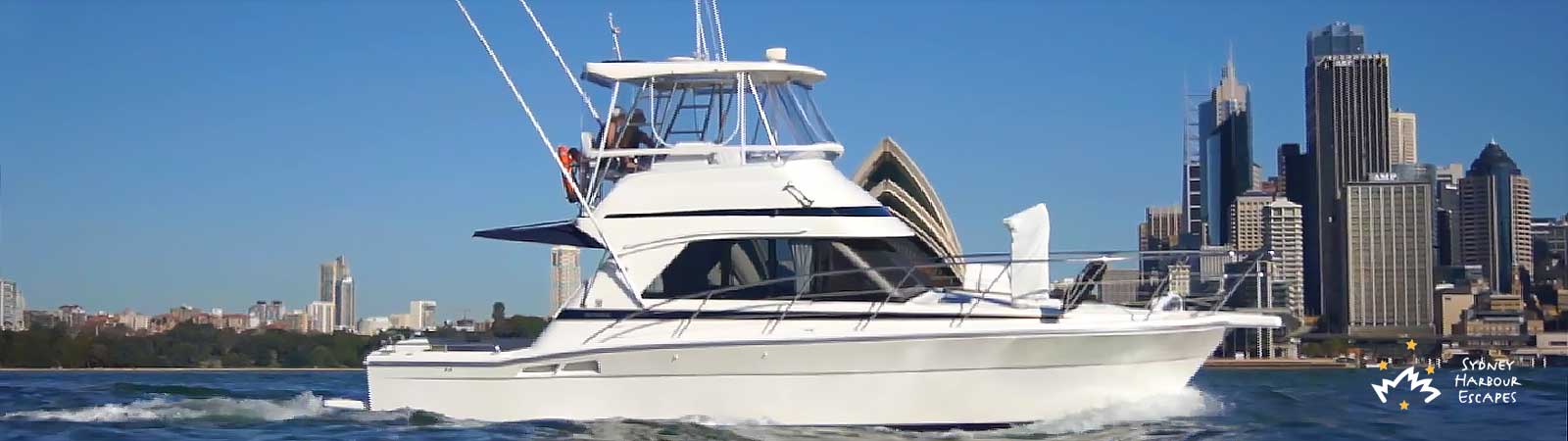 Medusa on Sydney Harbour