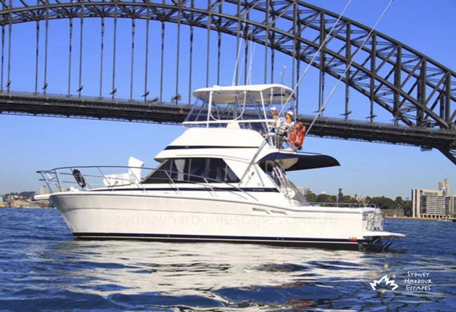 MEDUSA 36' Riviera Flybridge Sydney New Year's Day Charter