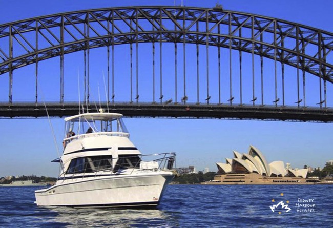 Medusa near Harbour Bridge