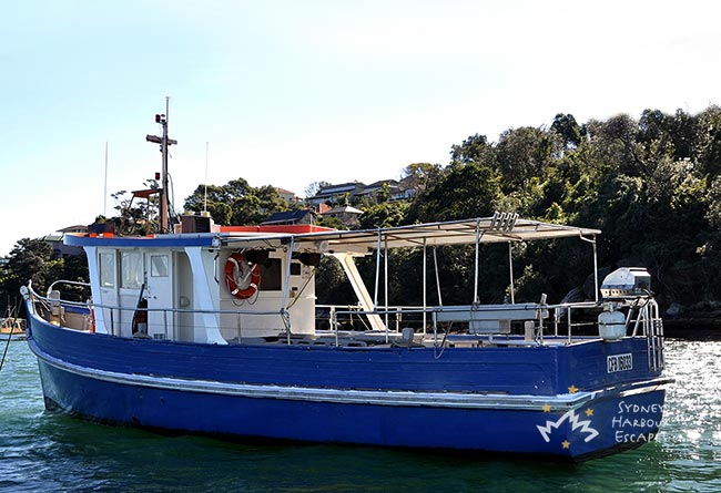 MV SUSANNAH 41' Private Boxing Day Charter Vessel