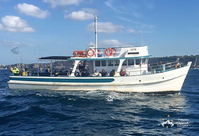 MYSTERY BAY 60' Classic Timber Motor Boat Boxing Day Charter