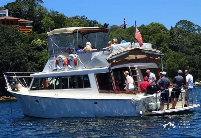 MV NEPTUNE 40' Power Cruiser NYE Boat Hire