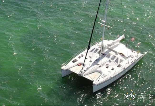 OBSESSION 50' Luxury Sailing Catamaran Private Charter