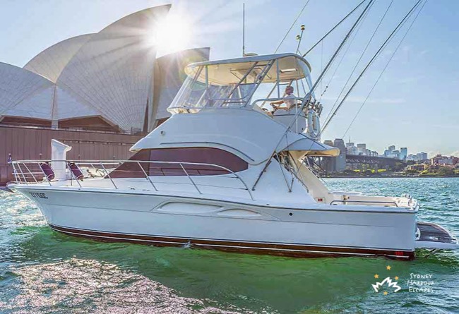 OCEAN BLUE 46' Riviera Luxury New Year's Eve Charter