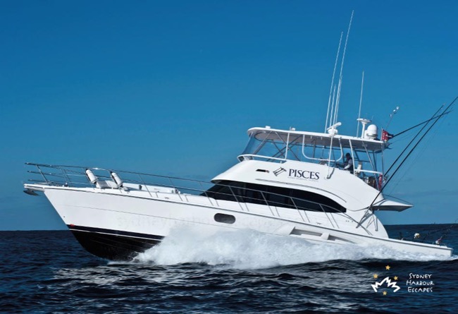 PISCES 56' Riviera Open Flybridge Luxury Cruiser Corporate Hire