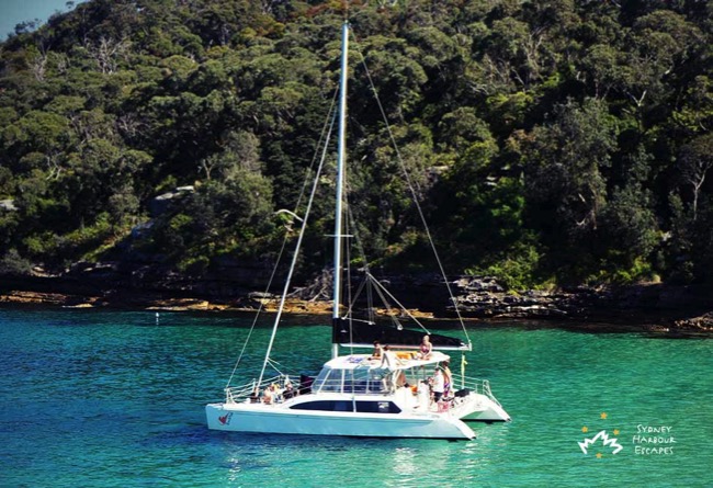 Rockfish Cruising on Sydney Harbour 