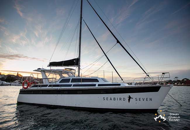 SEABIRD SEVEN 40' Sailing Catamaran NYE Boat Hire