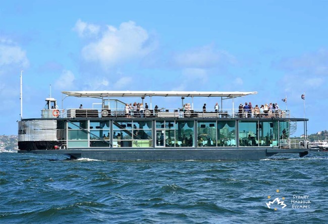 STARSHIP AQUA 111' Twin Level Glass Pontoon Sydney Harbour Wedding