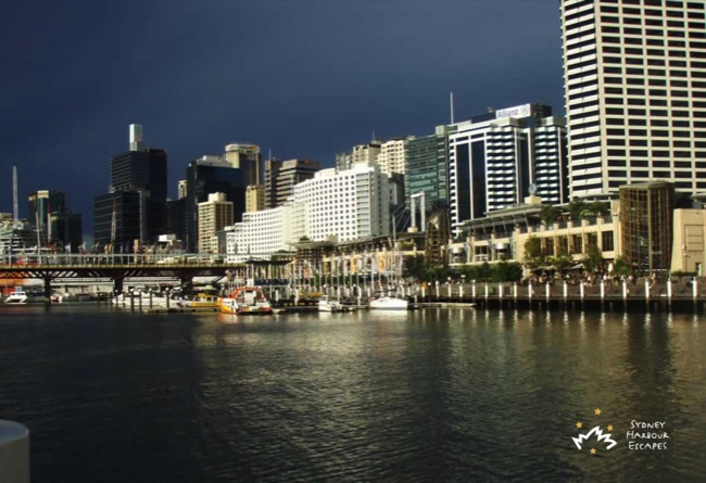 Starship Sydney Darling Harbour sunlight 