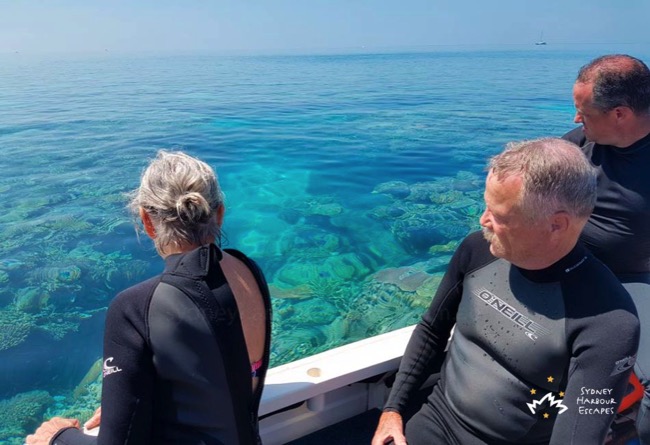 Sydney Sundancer Ready for Snorkelling 