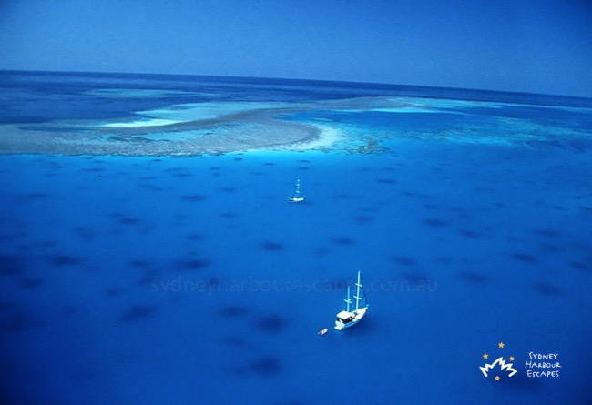 Sydney Sundancer from top Whitsundays 