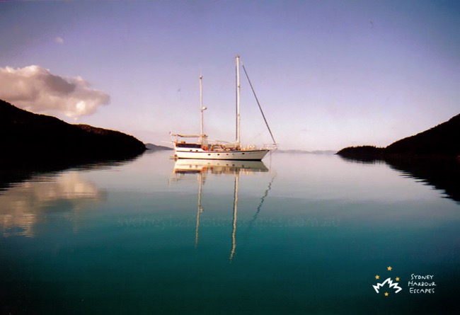 Sydney Sundancer in the Morning Whitsundays 