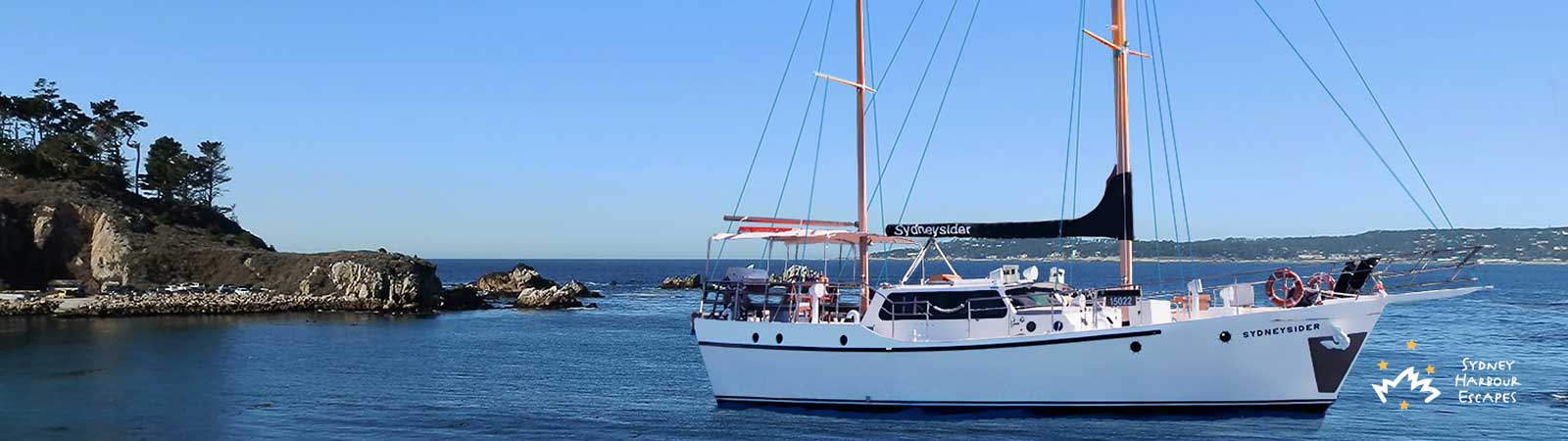 Sydneysider Anchored