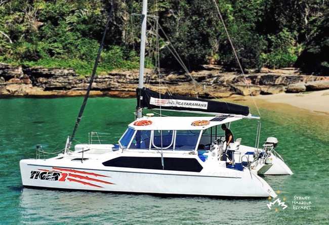 TIGER 2 34' Sailing Catamaran New Year's Eve Private Charter