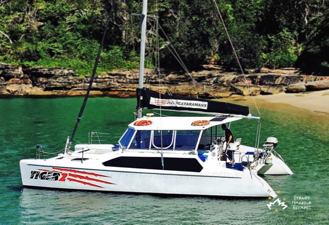 Tiger 2 Boat Hire Private Boat Charter Sydney Harbour Cruises Tiger 2 Boat Hire Private Boat Charter Sydney Harbour Cruises