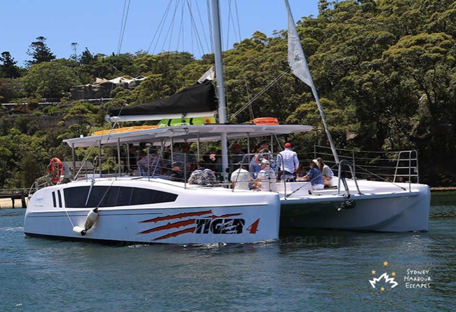 TIGER 4 38' Sailing Catamaran New Year's Eve Private Charter